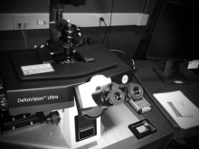 Black and white image of a microscope.