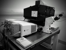 Black and white image of a microscope.