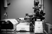 Black and white image of a microscope.